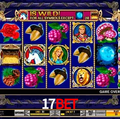 17Bet Rio de Janeiro - Bonus Terms